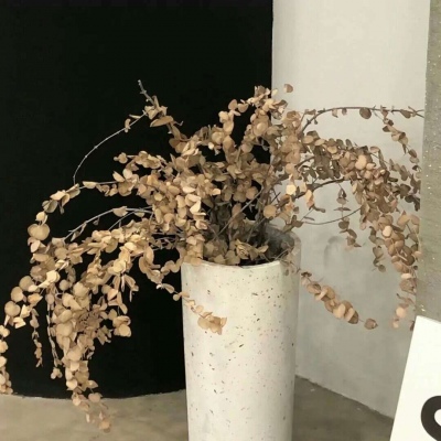 Furry绘画光影灵感FurryQQ群